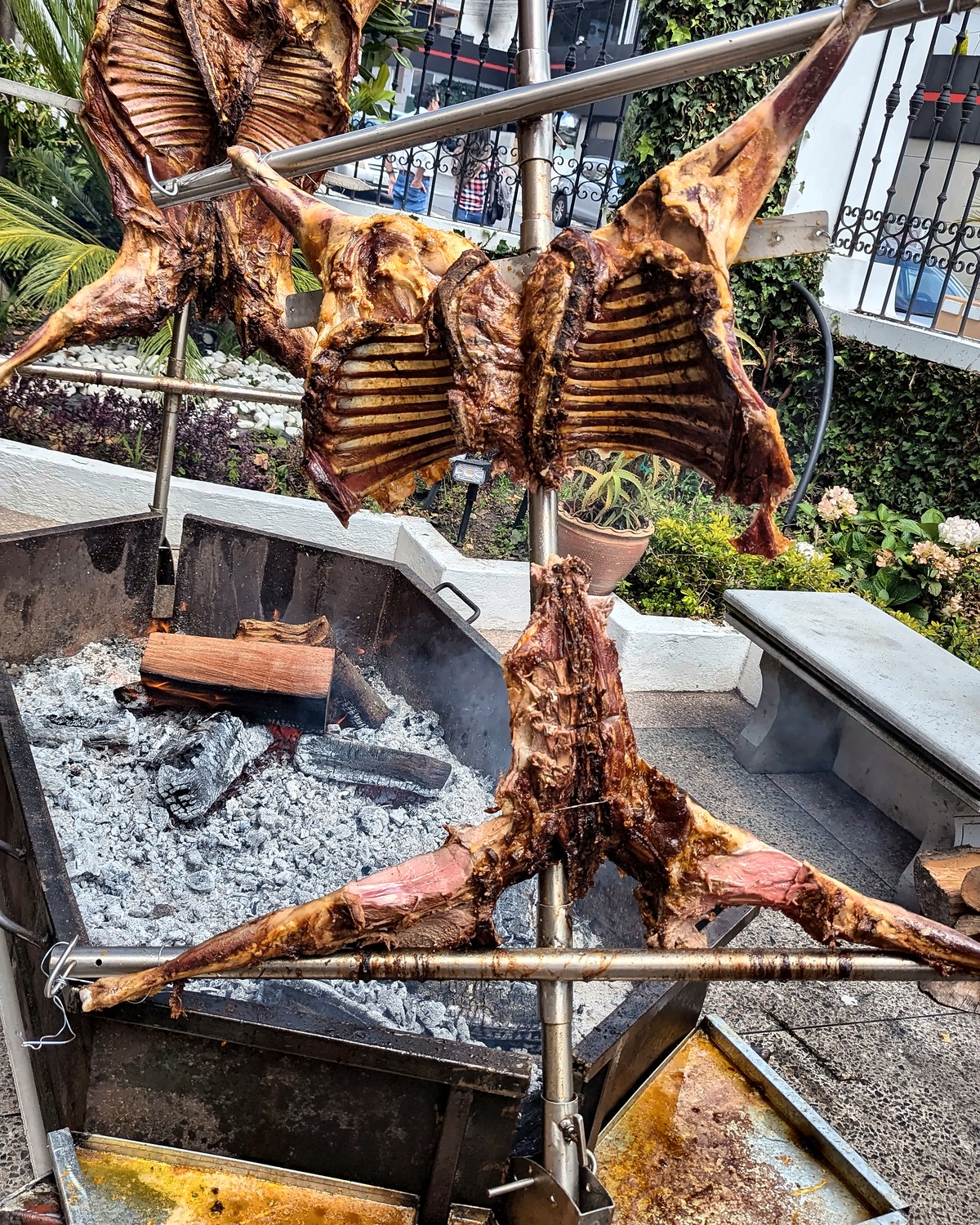 Cordero a la cruz con piel dorada